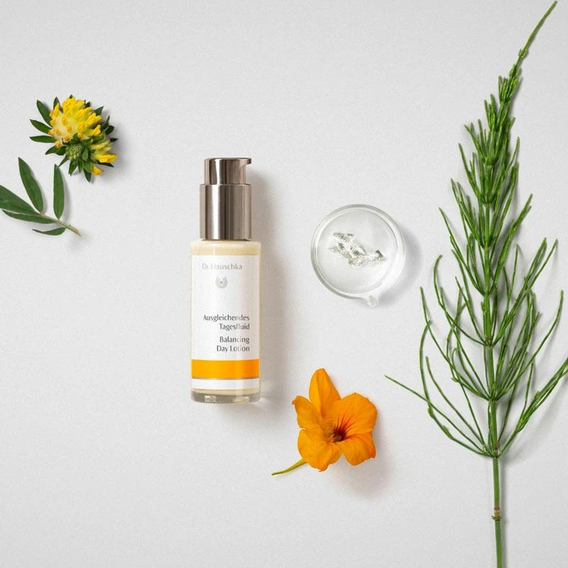 Dr. Hauschka Balancing Day Lotion 50ml 2 Dr. Hauschka Balancing Day Lotion 50ml - Image 2