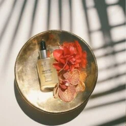 Eco Tan Glory Oil 30ml -Cheap Wellness Beauty Store eco by sonya driver glory oil 30ml 5